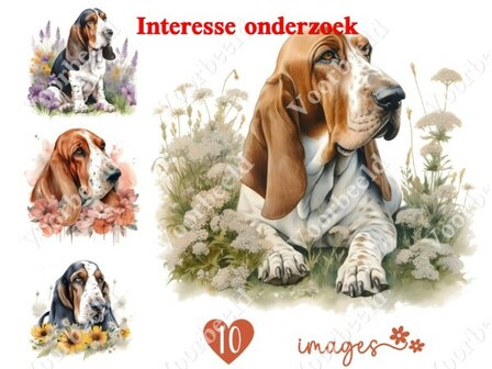 Diamond Painting interesse onderzoek