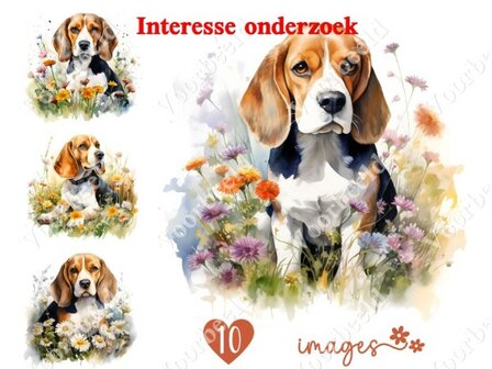 Diamond Painting interesse onderzoek