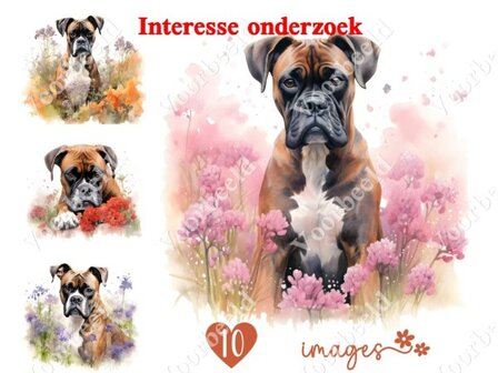 Diamond Painting interesse onderzoek