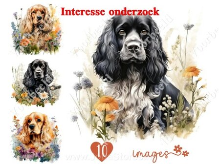 Diamond Painting interesse onderzoek