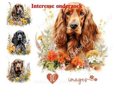 Diamond Painting interesse onderzoek