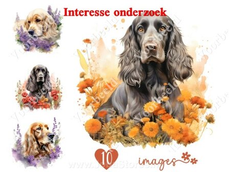 Diamond Painting interesse onderzoek