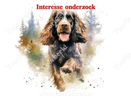 Diamond Painting interesse onderzoek