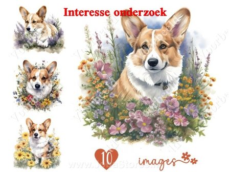 Diamond Painting interesse onderzoek