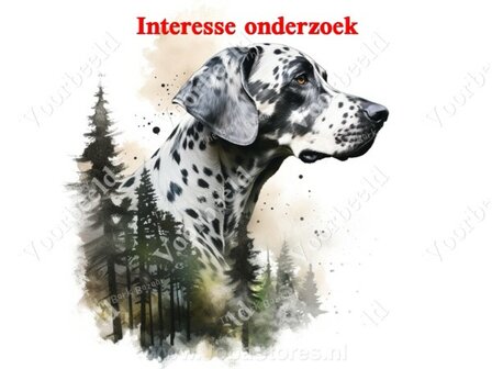 Diamond Painting interesse onderzoek