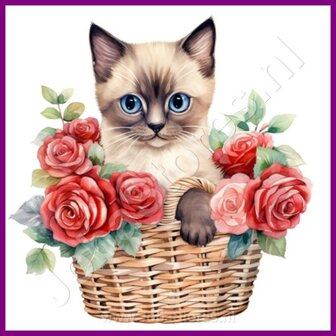 Diamond Painting Kitten in mand