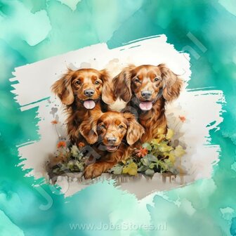 Diamond Painting Aquarel Hond - Ierse Setter 