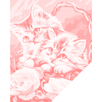 HappyDots DOT Painting Kittens in mand 30x40cm - Stippelschilderij Rood