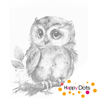 HappyDots DOT Painting Schattige Uil 30x40cm - Stippelschilderij