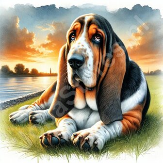 Diamond Painting Basset Hound