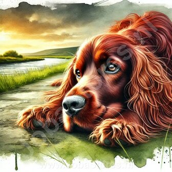 Diamond Painting Ierse Setter