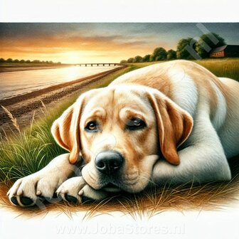 Diamond Painting Golden Retriever Blond