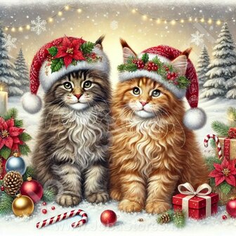 Diamond Painting Kerst Katten - Maine Coon