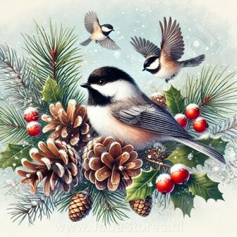 Diamond Painting Kerst vogel - Mees