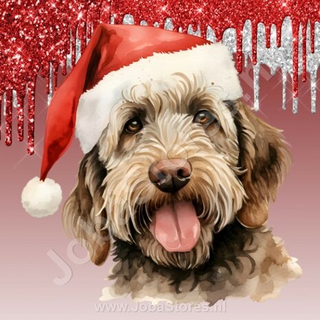 Diamond Painting Labradoodle met Kerstmuts